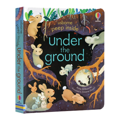 Peep Inside Usborne Book English Educational Picture Books for Kids Children Fairy Tale Learning Gifts